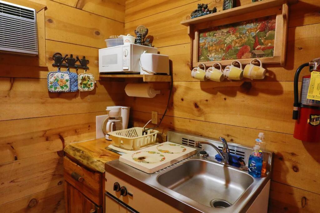 Cute Updated Mountain Cabin Fireplace #3 Helen Exterior foto
